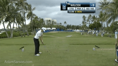 Will Wilcox might have the fastest swing in professional golf.