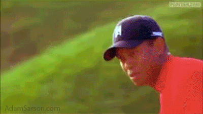 tiger-hat-toss.gif