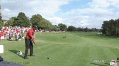 It's been a long time since we've seen this kind of explosive swing from Tiger.