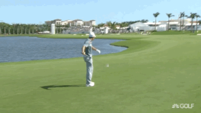 Rory tosses one into the lake at Doral.