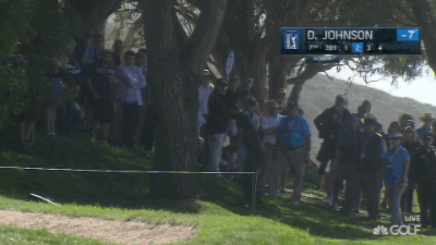 Pretty amazing pitch by Dustin Johnson through the trees.